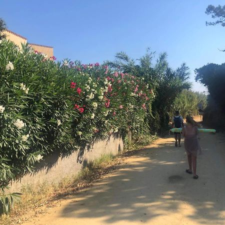 La Corse Tranquille 300M De La Plage Et Piscine Linguizzetta Екстер'єр фото